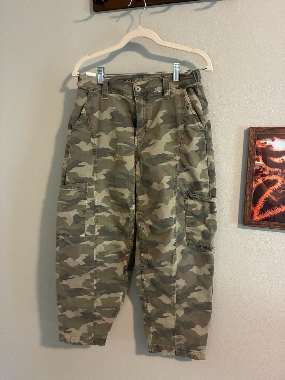 American Eagle Outfitters Camo Cargo Pants - Olive/Tan/Gray